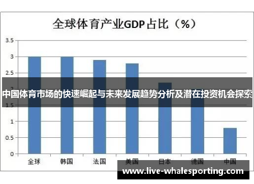 中国体育市场的快速崛起与未来发展趋势分析及潜在投资机会探索